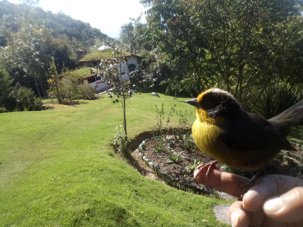 Jardin Colibri Rnt 33633 * Guatavita