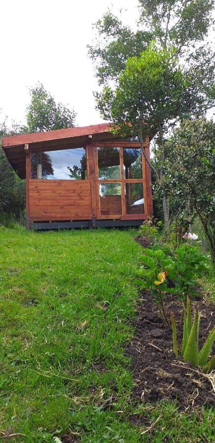 Jardin Colibri Rnt 33633 *