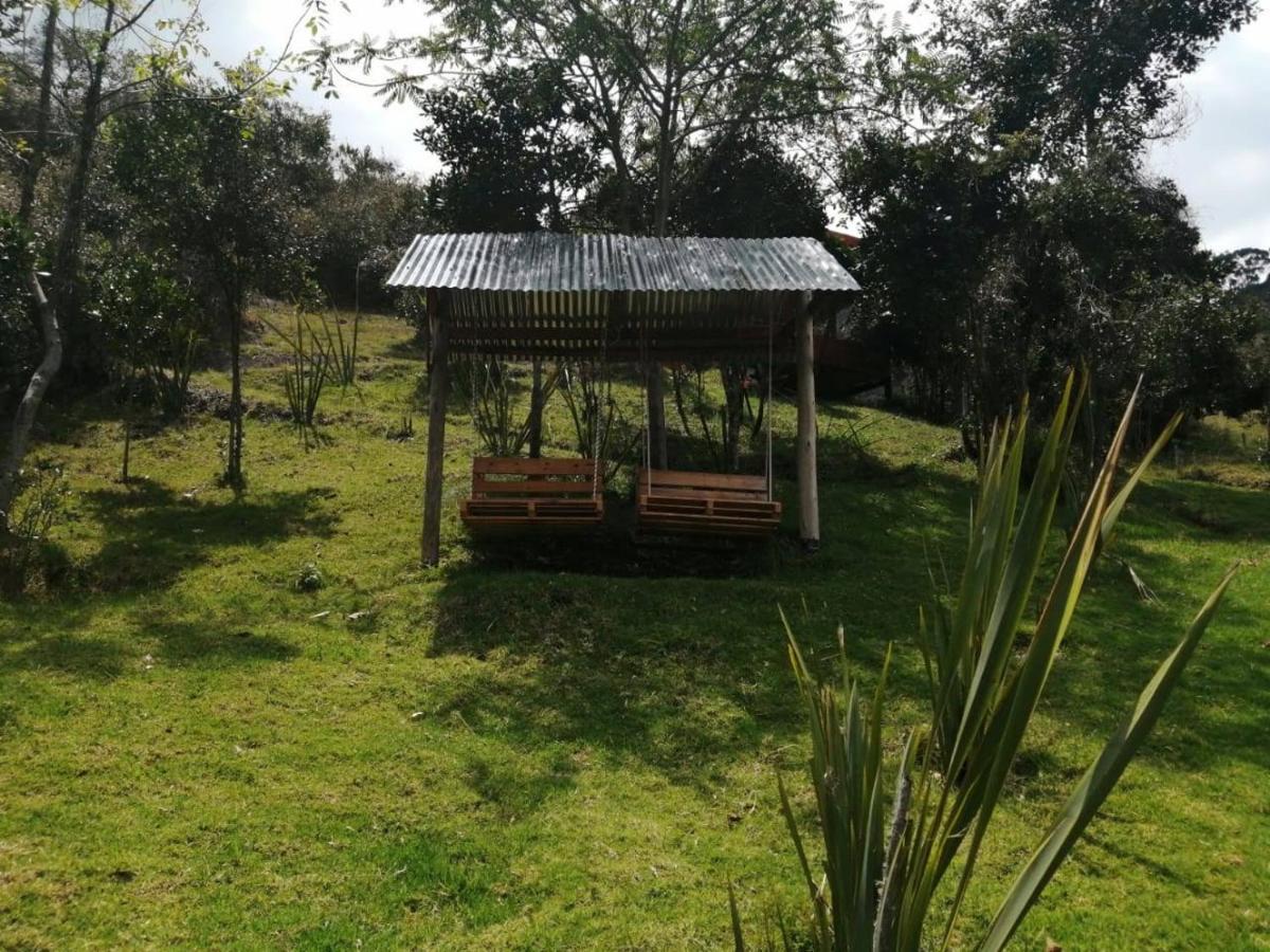 Jardin Colibri Rnt 33633 *