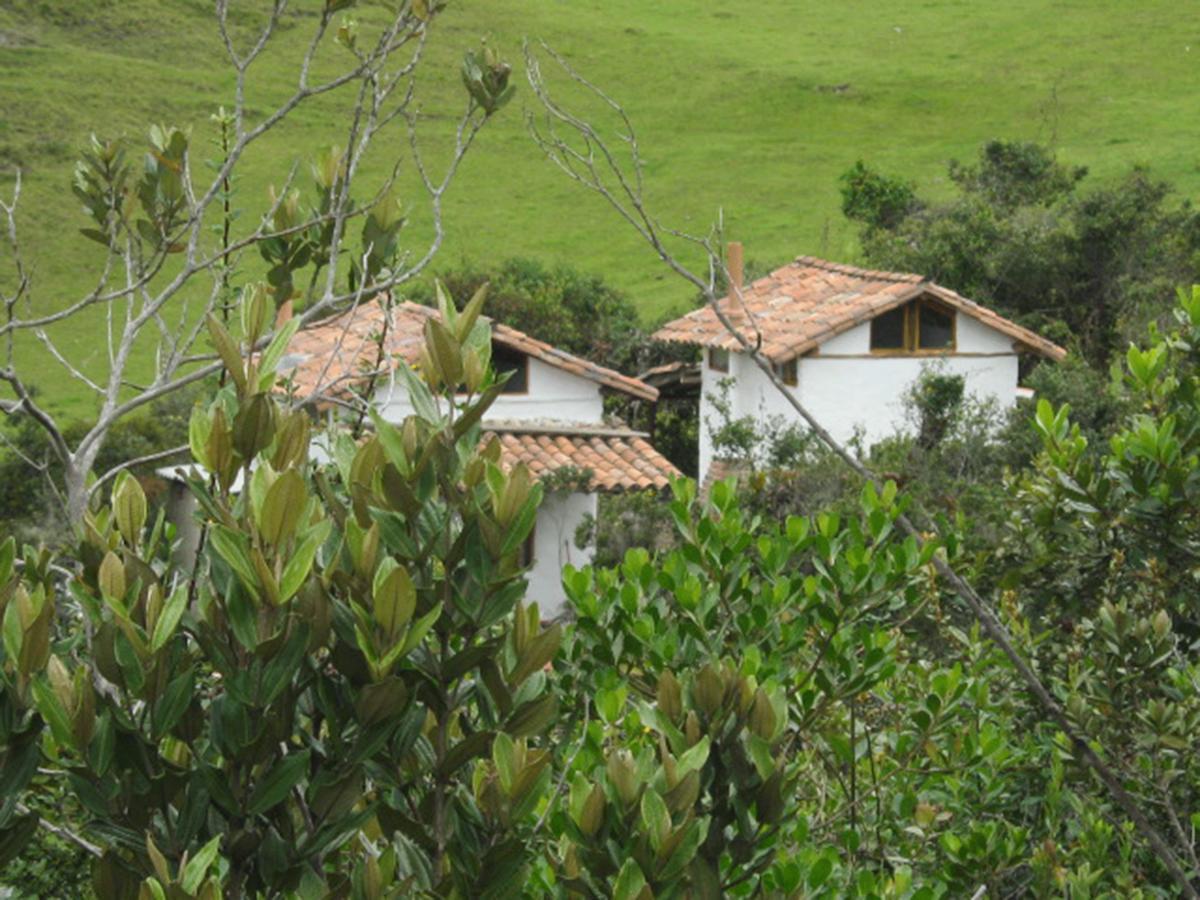 Jardin Colibri Rnt 33633 Lodge *