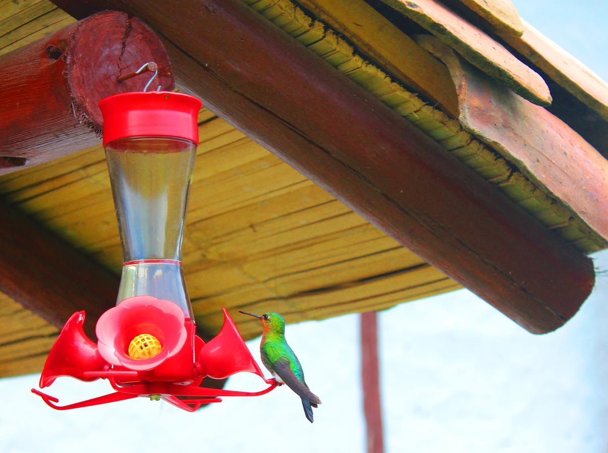 Jardin Colibri Rnt 33633 Lodge Guatavita