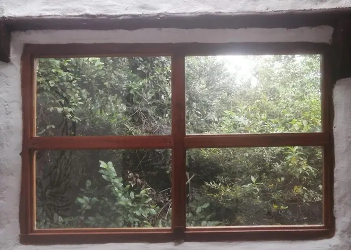 Jardín Colibrí