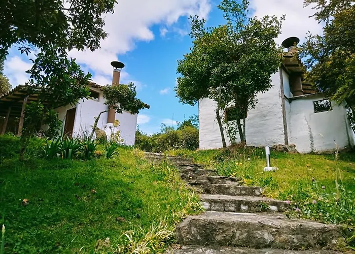 Jardín Colibrí