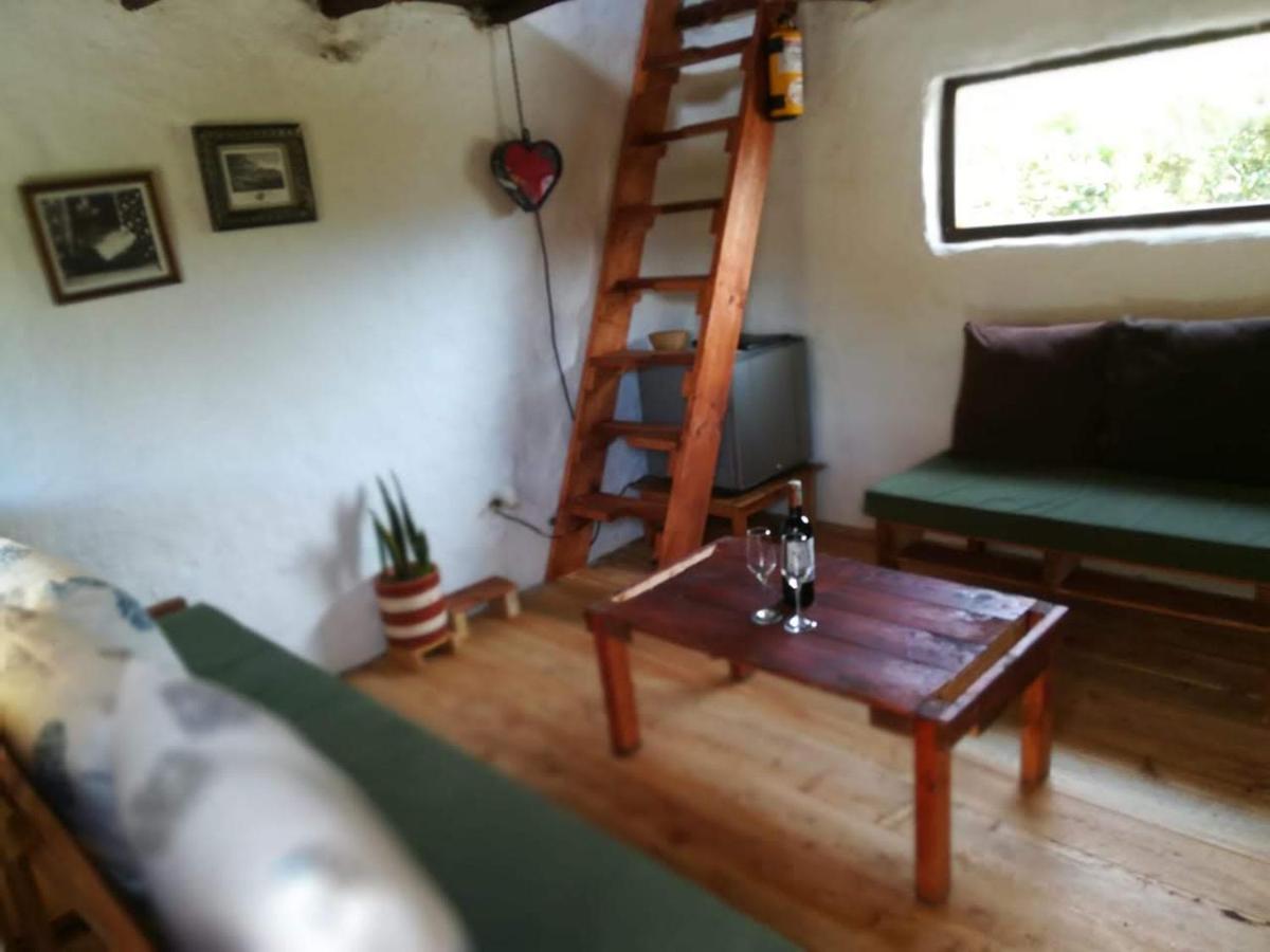 Jardín Colibrí Lodge Guatavita