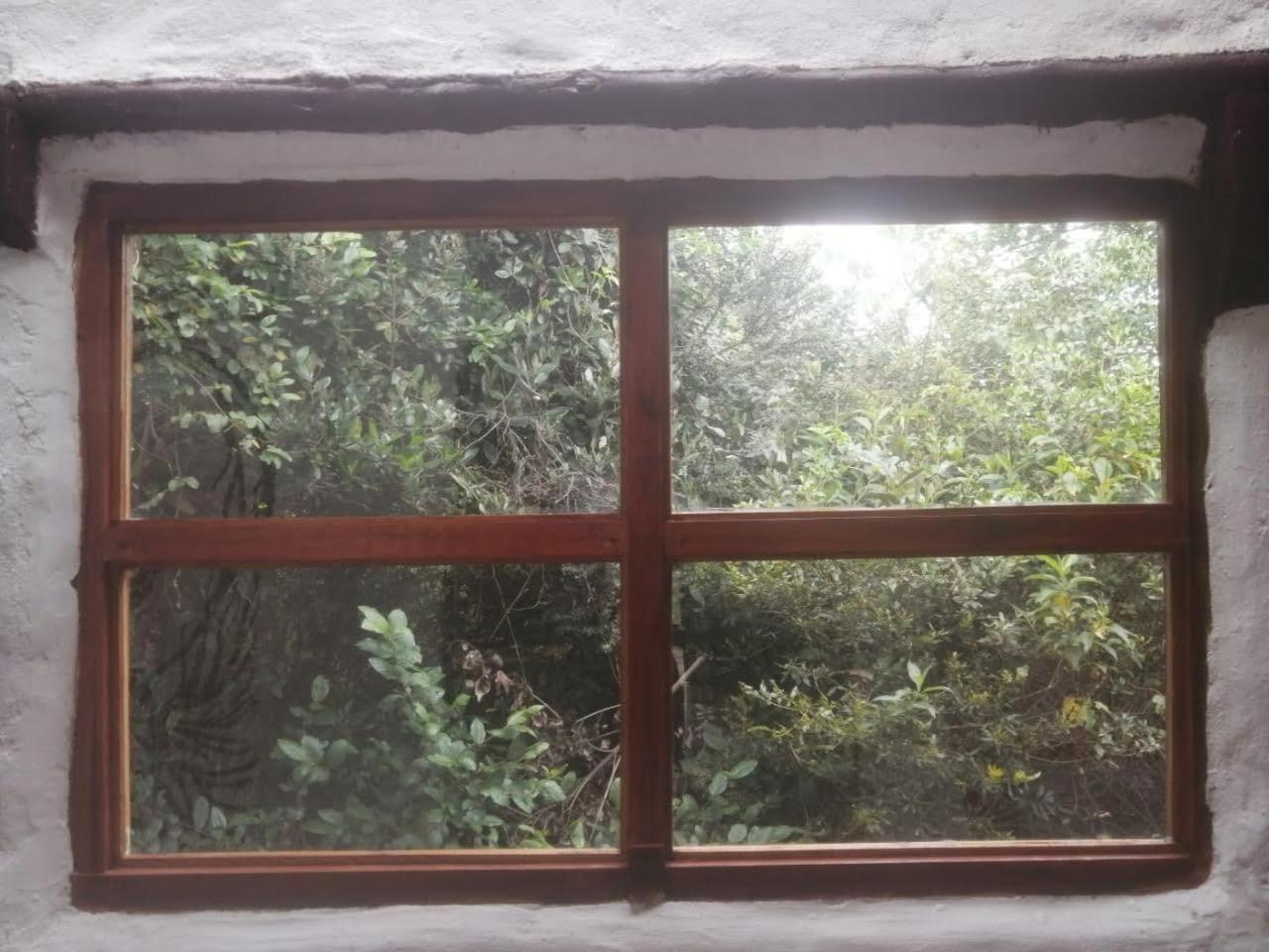 Jardín Colibrí Lodge *