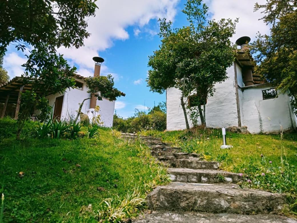 Lodge Jardín Colibrí *