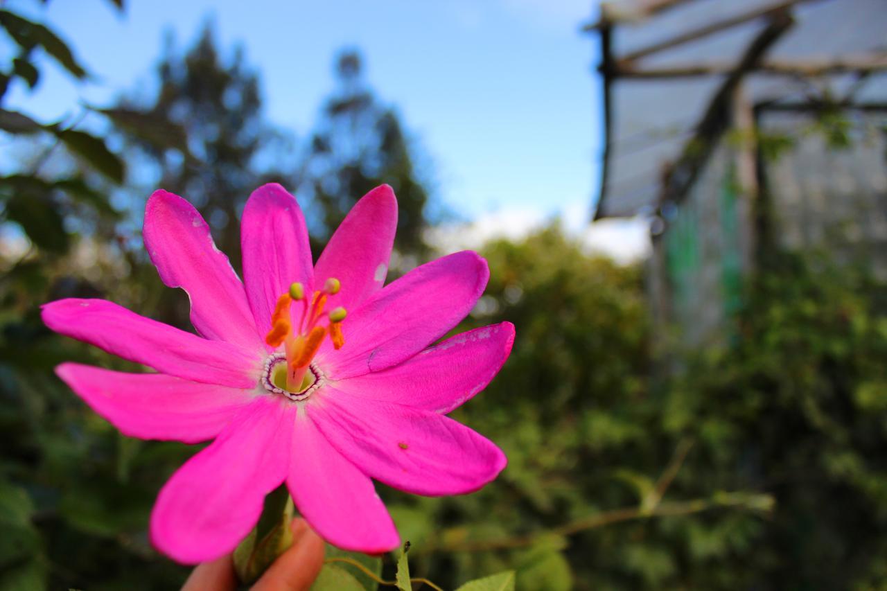 Jardín Colibrí *